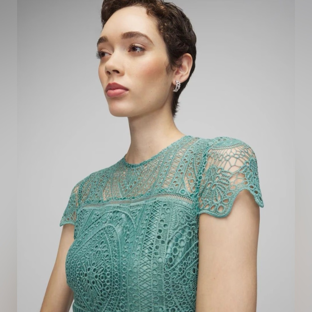 EUC WHBM Lace Dress - Picture 3 of 7